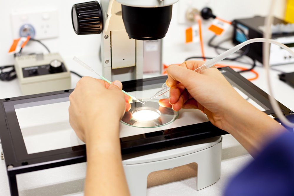 O semnătură pentru viaţă 85817