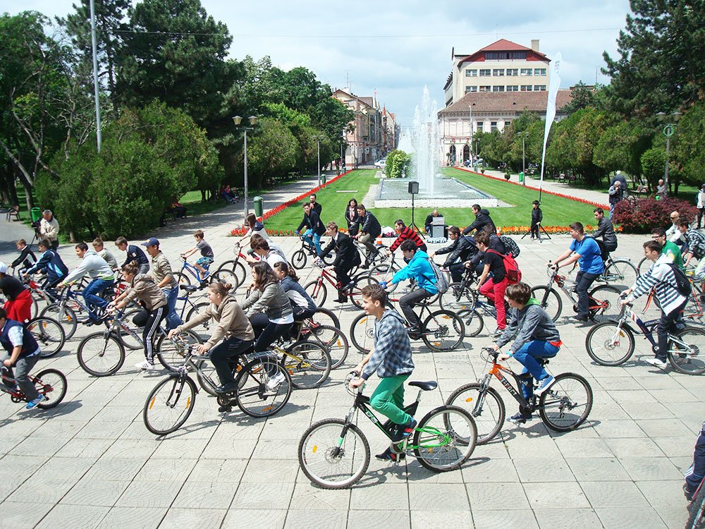 Scleroza multiplă în atenţia publică 85827