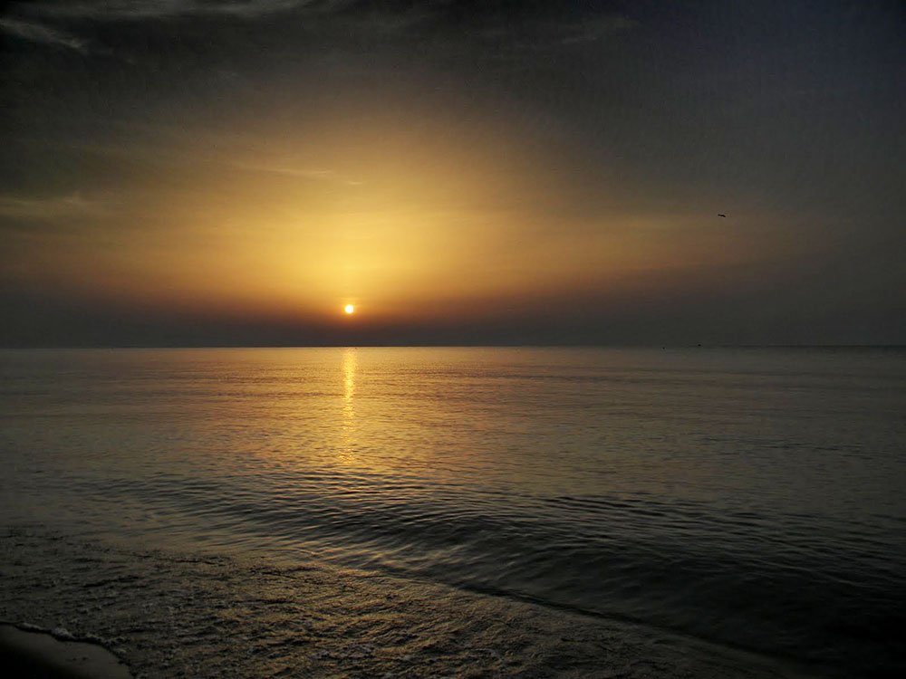 Nostalgia Paradisului 85720