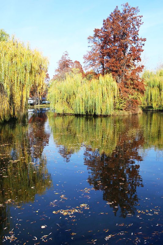 Statutul de mentor - de la ascultare la îndrumare 85692