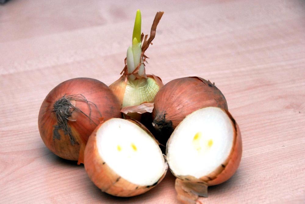 Remedii la îndemână pentru tratarea răcelii la copii 85674