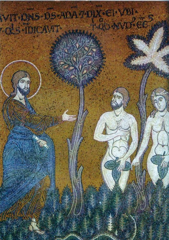 Embrionul uman este un suflet 85569