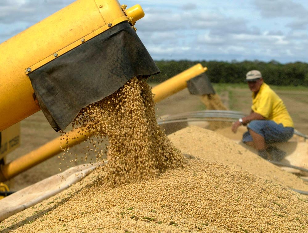 Ploile din ultima perioadă au crescut producţia la hectar 85344