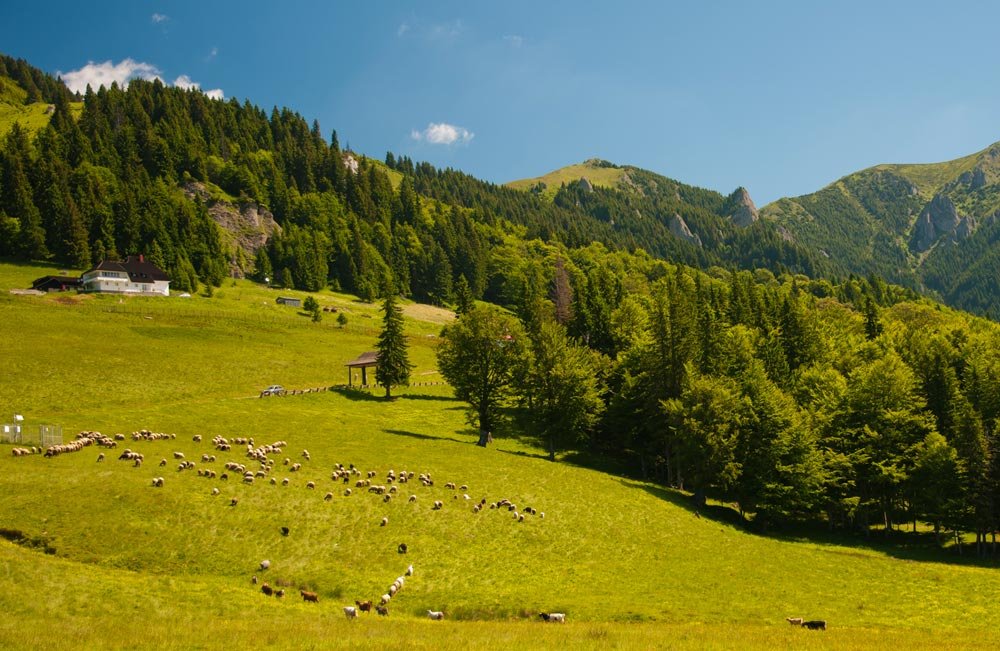 Restituirea proprietăţilor confiscate de regimul comunist 84992