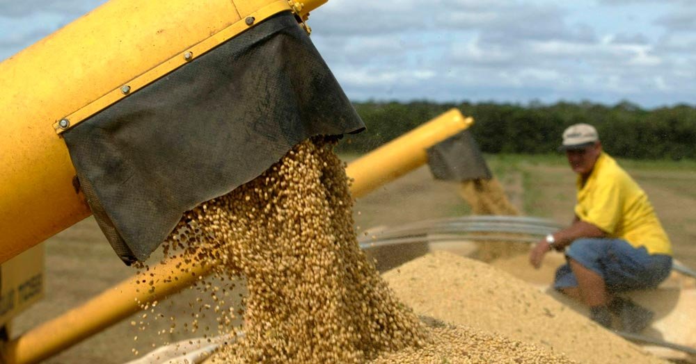 Agricultura va beneficia de investiţii de 3 miliarde de euro 84836