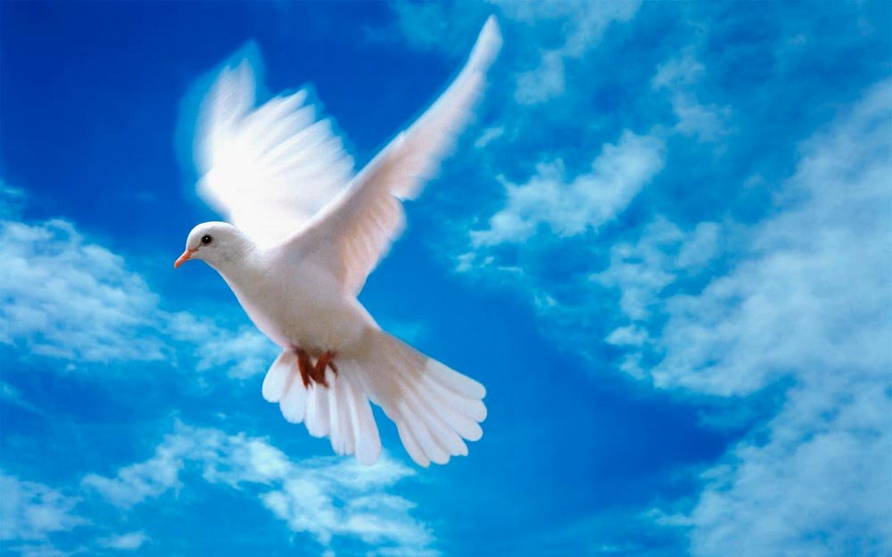 Duhul Sfânt este Viaţa lumii (II) 84794