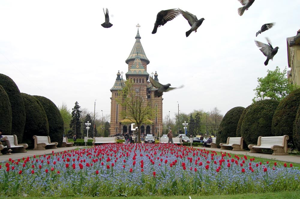 Centrul eparhial susţine candidatura Timişoarei pentru titlul de capitală culturală europeană 84777