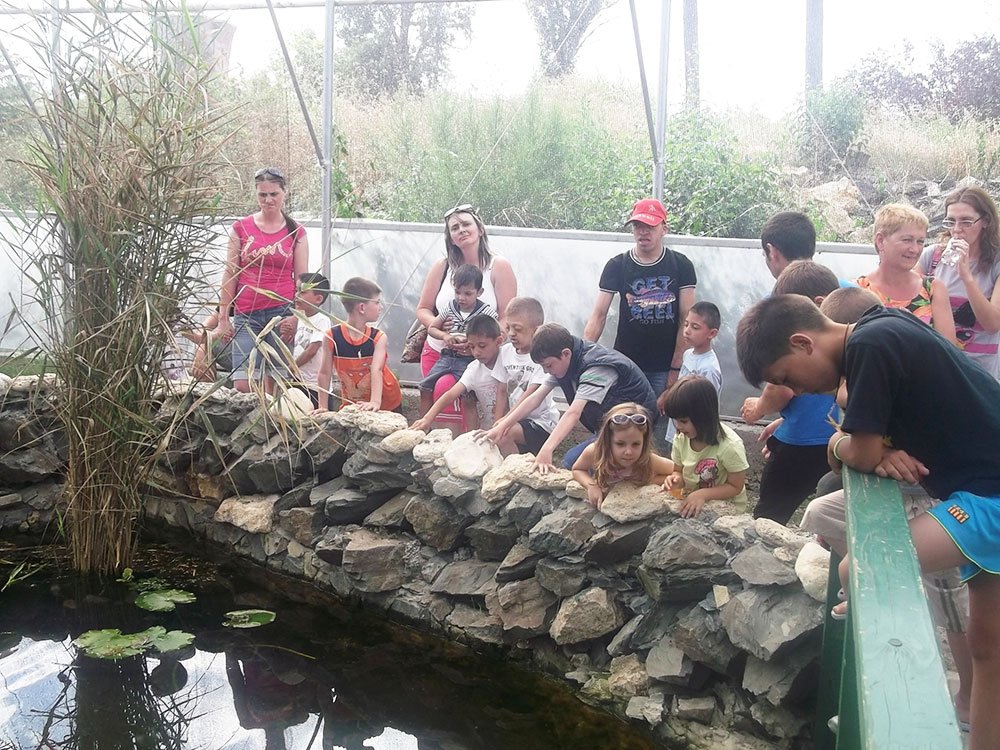 Tabără la mare pentru copiii cu dizabilităţi din Alba Iulia 84691