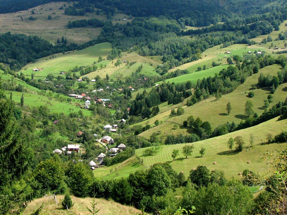 Muzeul ASTRA, partener în proiecte de restaurare de monumente şi situri 84504