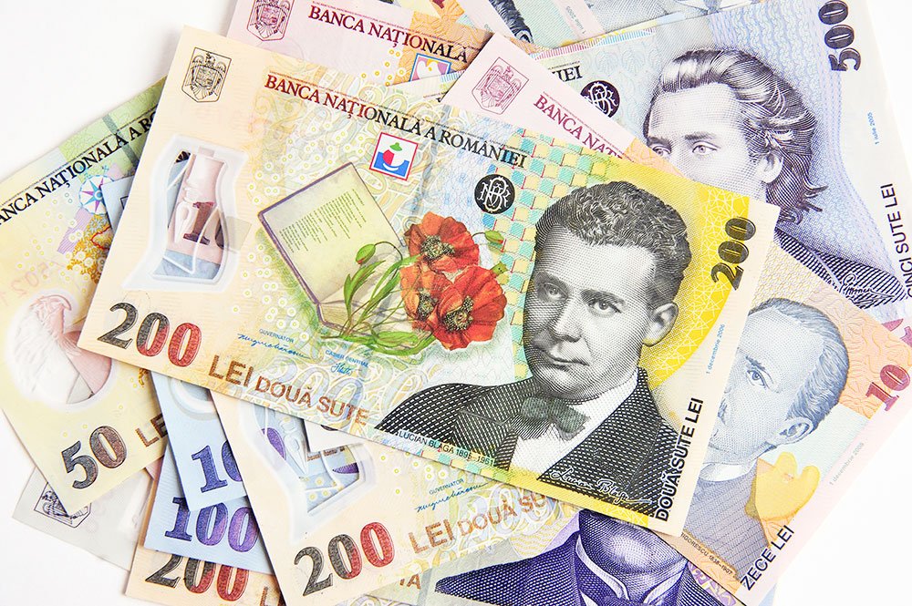 Leul a avut cel mai bun parcurs din regiune în 2013 84465