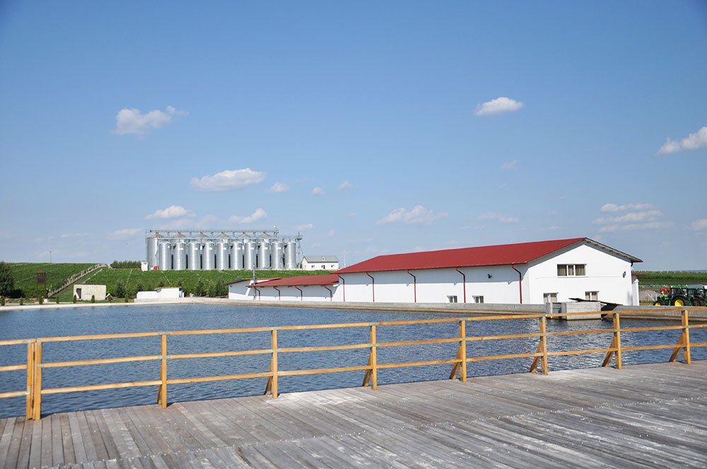 Povestea de succes de la Trifeşti 84348