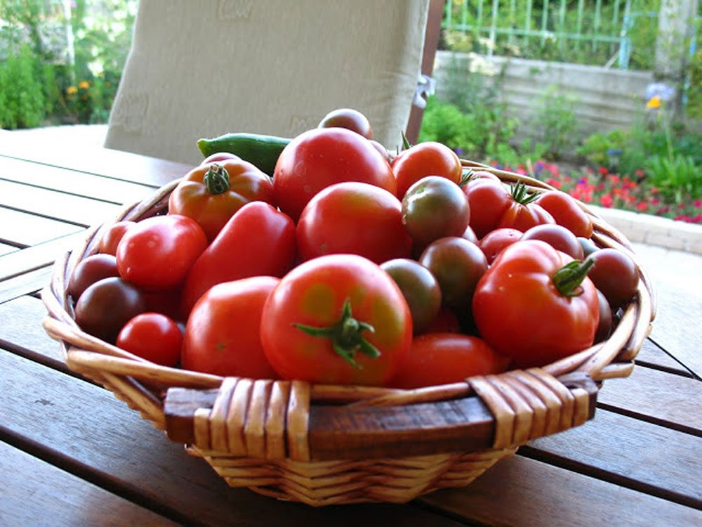 În Occident roşia românească s-ar vinde la preţ triplu 84247