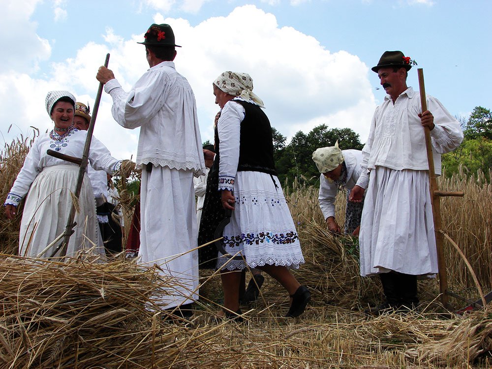„La seceriş ca în Maramureş“, la Muzeul Etnografic al Transilvaniei 84157