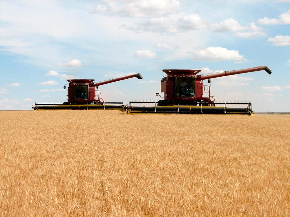 „Agricultorii nu şi-au asumat toată forţa pe care o au“ 83984