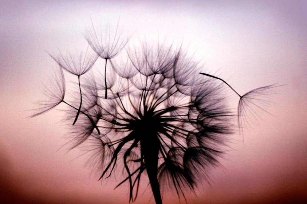 Controlul şi lipsa de libertate personală 83964