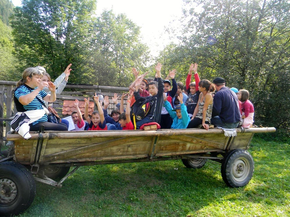 Educaţie şi recreaţie în natură pentru copiii instituţionalizaţi 83959