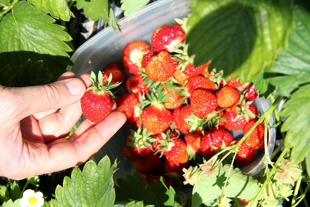 Credite ieftine pentru fermele de familie 83901