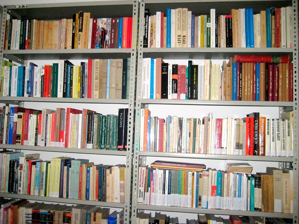 Ne mai trebuie romane-fluviu? 83861