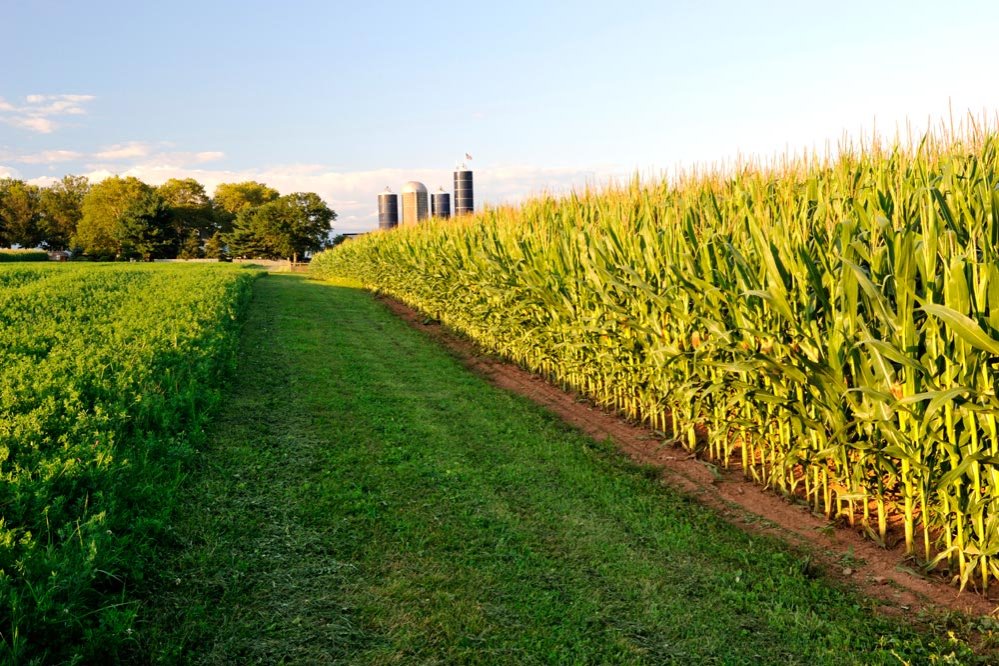 România este în grupul select al ţărilor cu cele mai fertile soluri 83841