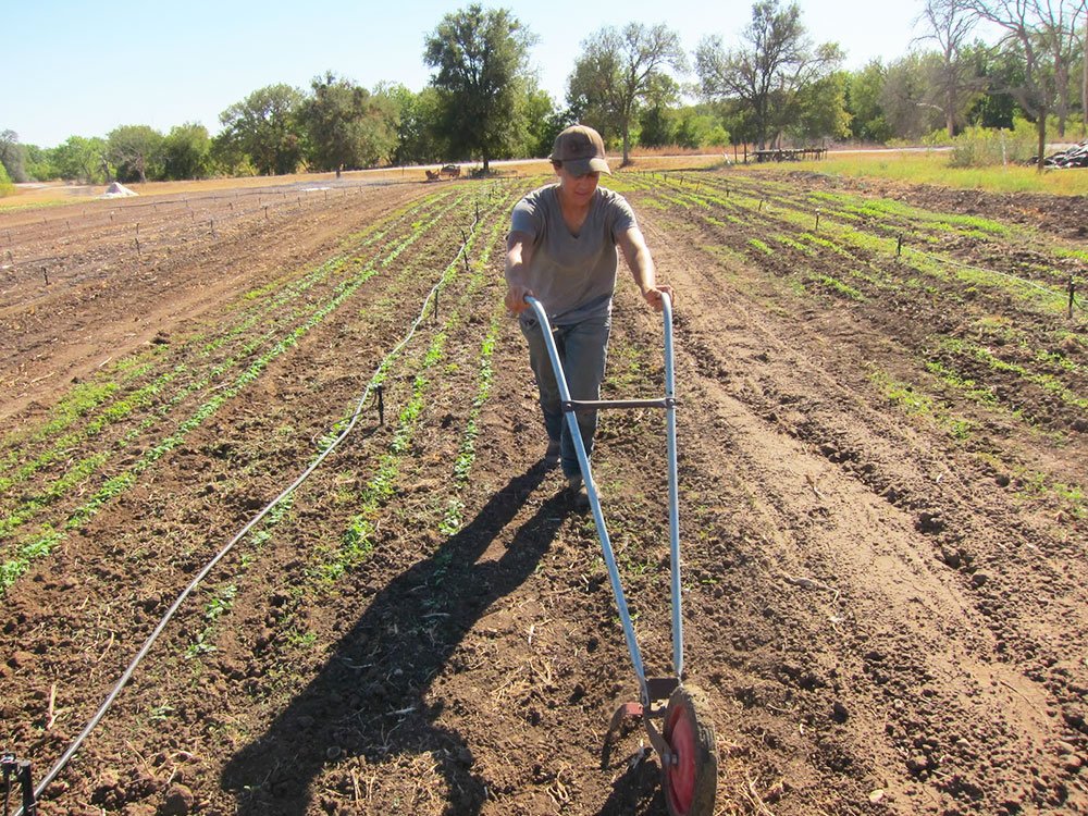 „Ne concentrăm pe investiţii în fermă şi în industria alimentară“ 83646