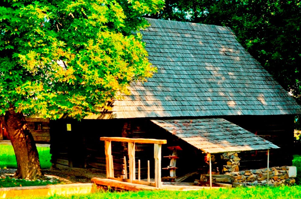 Muzeul Civilizaţiei Populare Tradiţionale ASTRA, la 50 de ani 83503