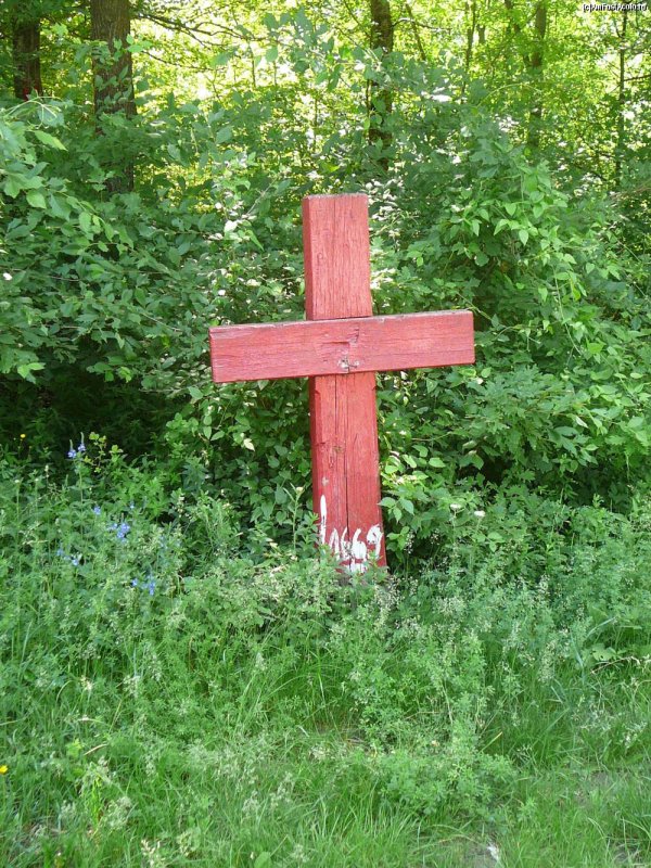 Mâniosul nu este plăcut lui Dumnezeu 83452