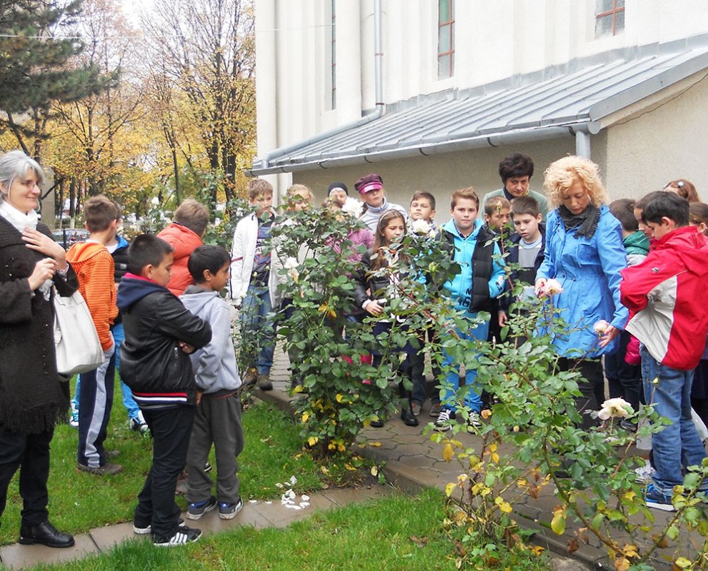 Micii grădinari de la parohia clujeană „Naşterea Domnului“ 83138