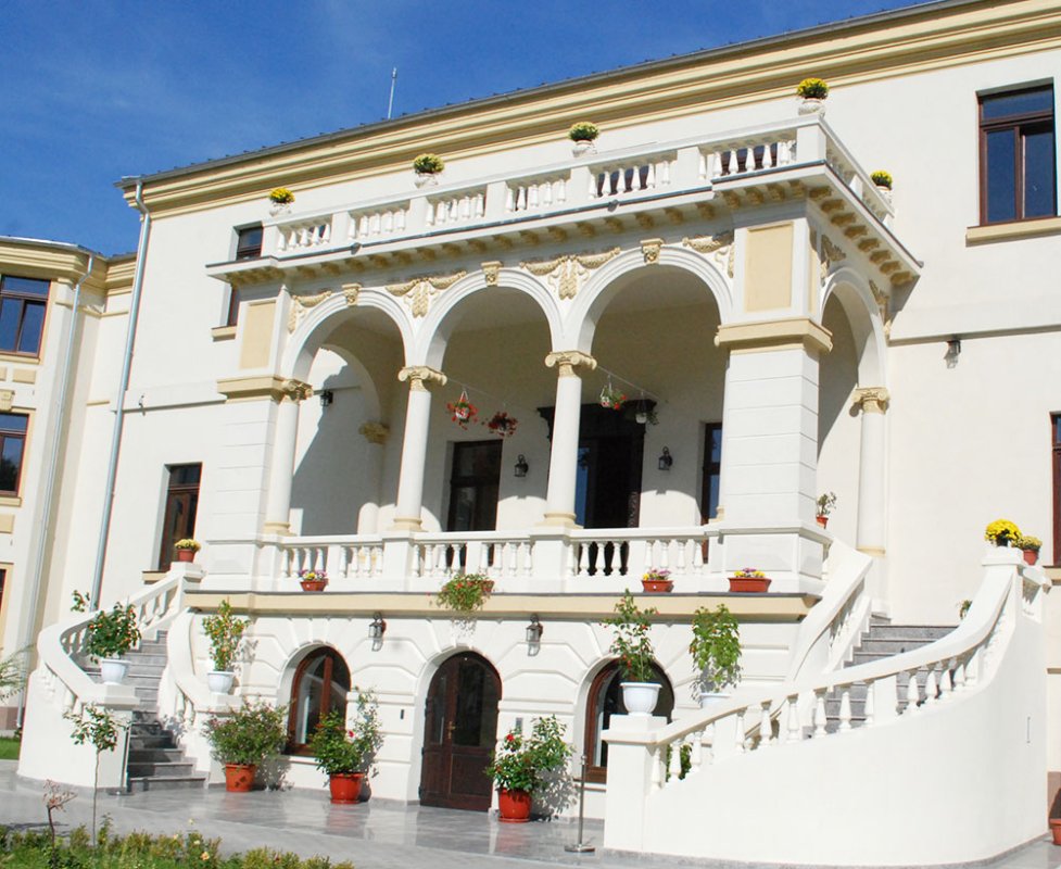 Voluntariat pentru coeziune socială 83140