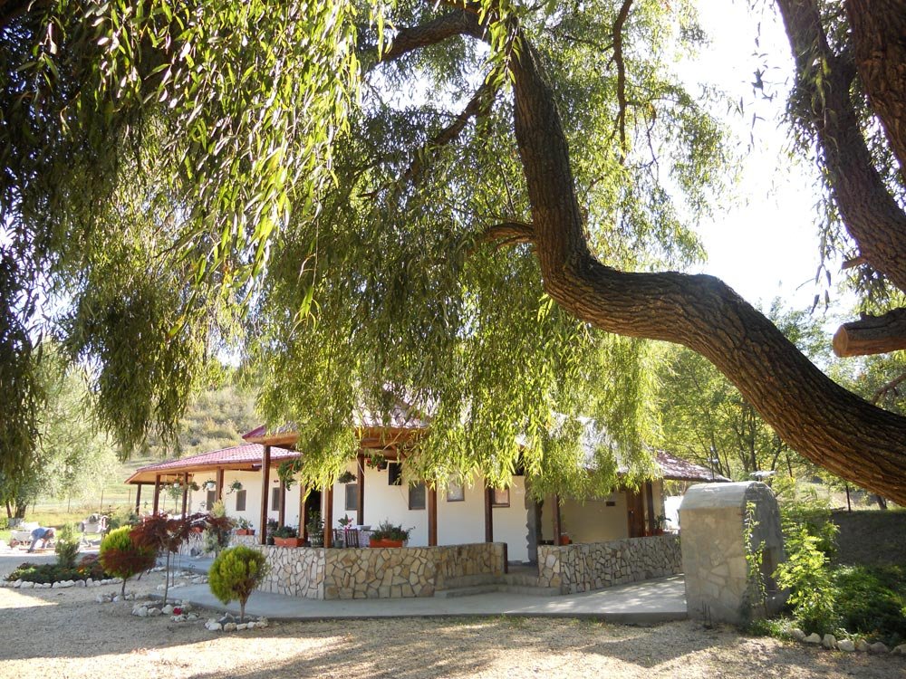 Început cu rugăciuni şi trudă 83086