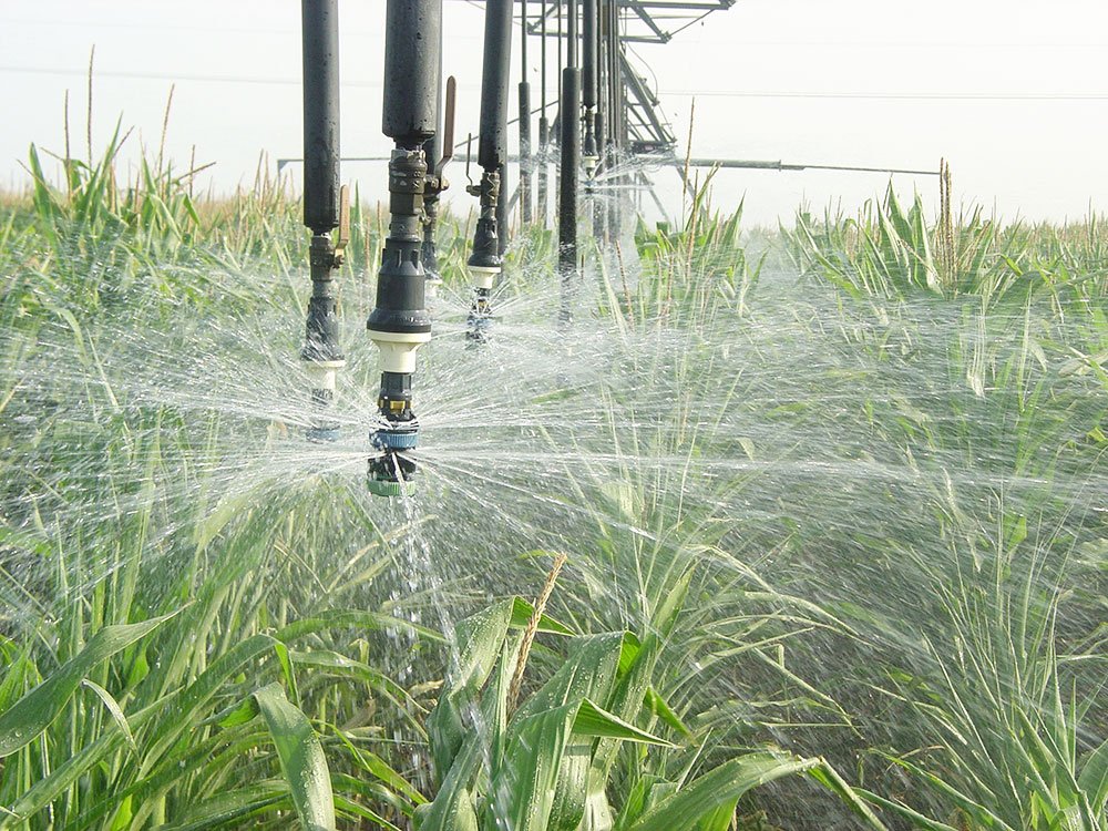 Peste 371 milioane de euro pentru irigaţii 82678