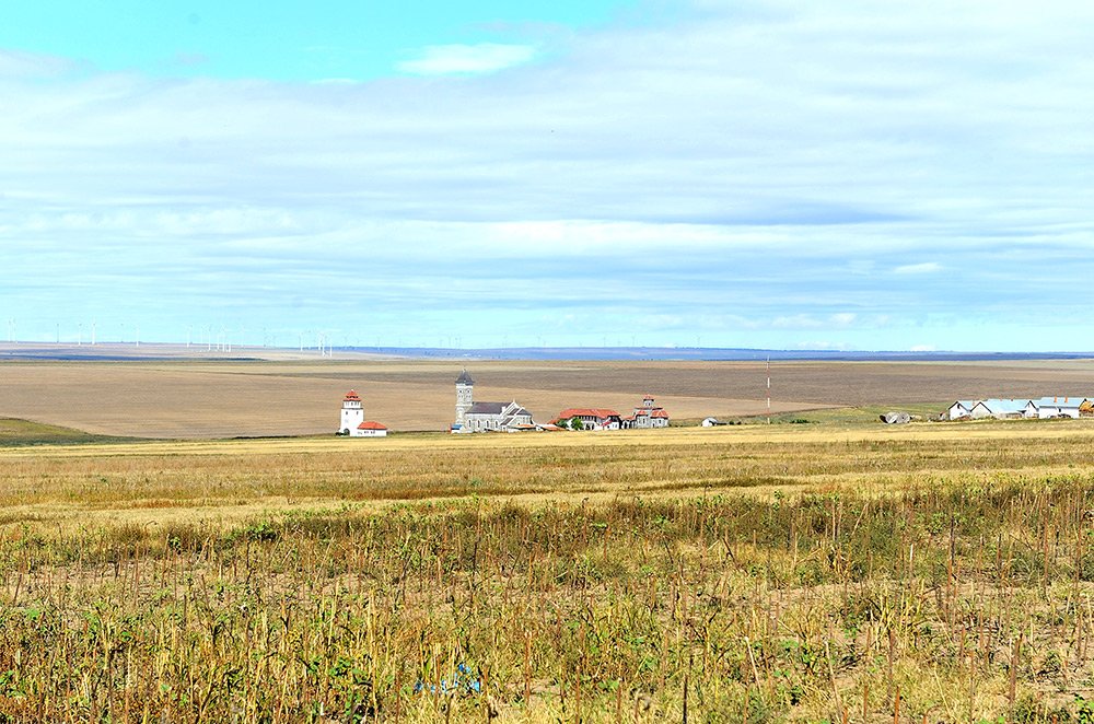 Colilia, prezentul din inima pustiei 82260