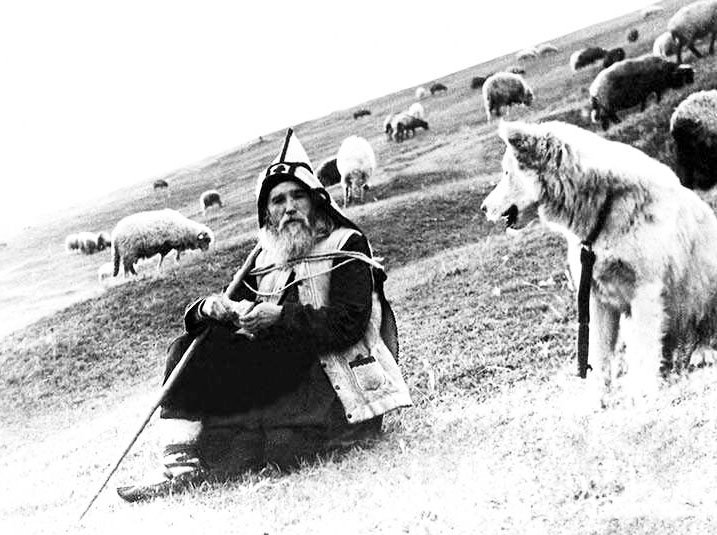 Statura duhovnicească a părintelui Cleopa Ilie în viziunea contemporanilor 82231