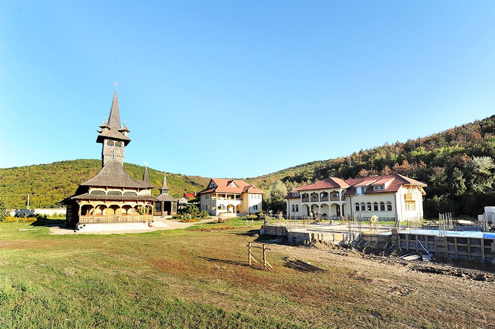 Repetabila întoarcere în sine 82158