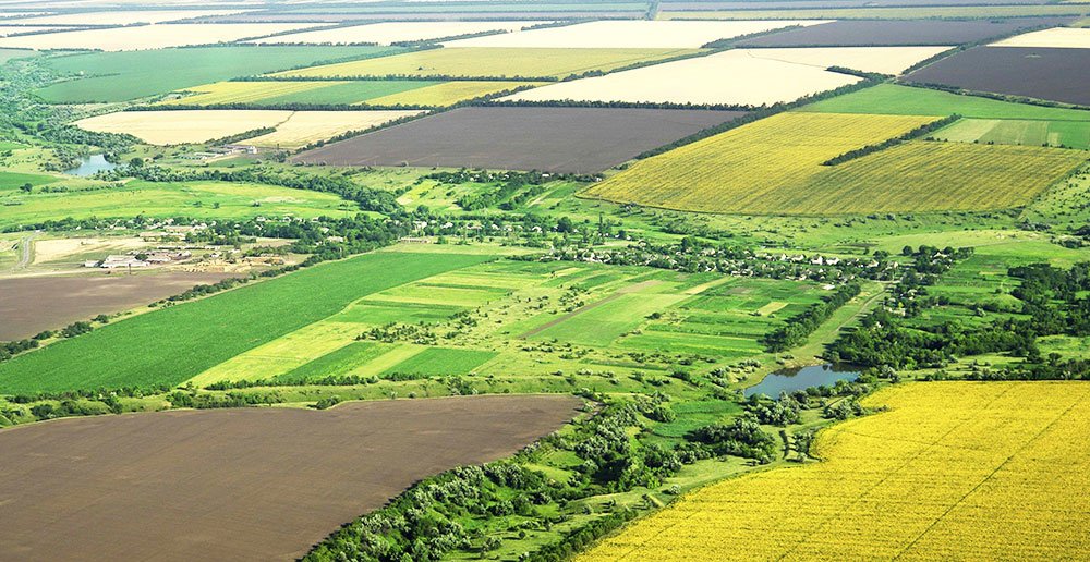 Fermierii tineri pot cumpăra terenuri cu un avans de 10% 82073