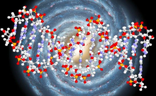 Munca omului şi materia lumii în  lumina Naşterii lui Hristos 81843