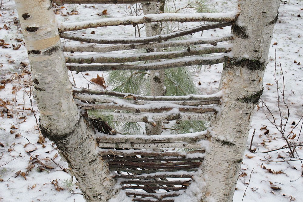 Gânduri de început 81637