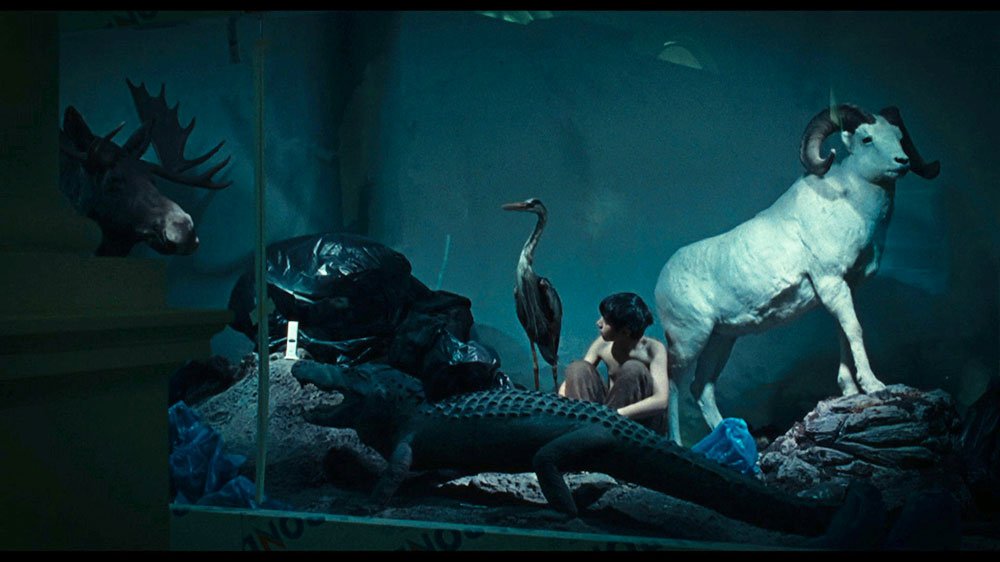 „Matei, copil miner“ - o nouă voce a filmului românesc 81555