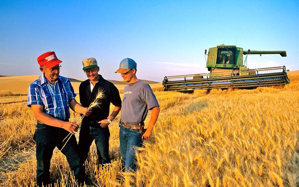 Subvenţii mai mari pentru fermierii care se asociază 81445