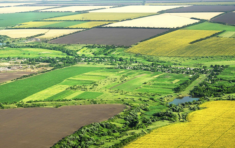 Terenurile din România, mai ieftine decât în restul UE 81321