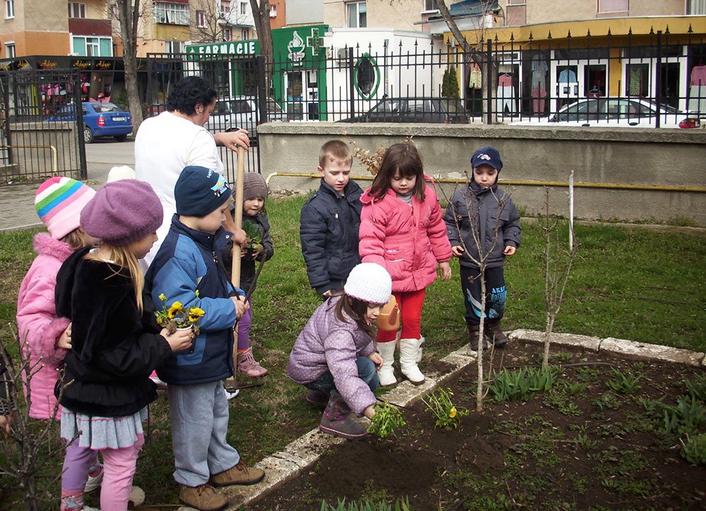 Proiectele pentru „şcoala altfel“ se depun online 81126