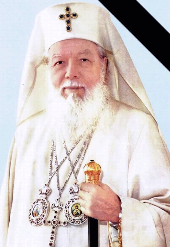 O floare dintr-un buchet de amintiri 81062