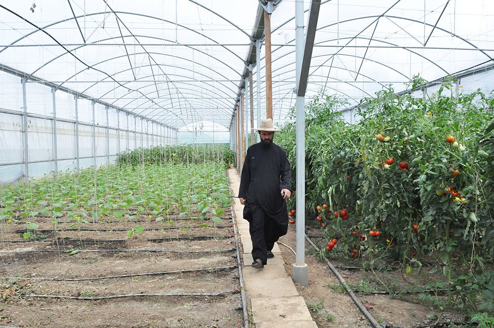 Roade bune ale pământului 80880