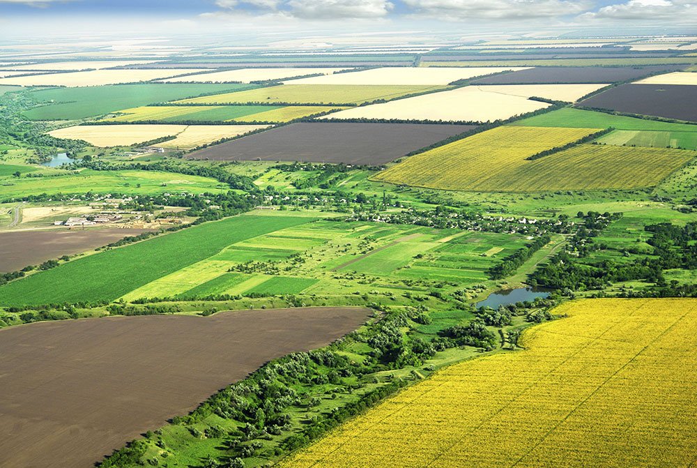 Paşii necesari pentru vânzarea unui teren agricol 80815