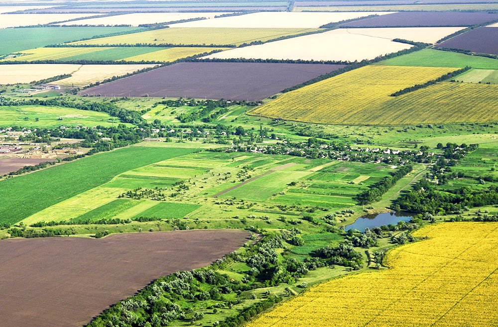 Subvenţii mai mari pentru micii fermieri 80677