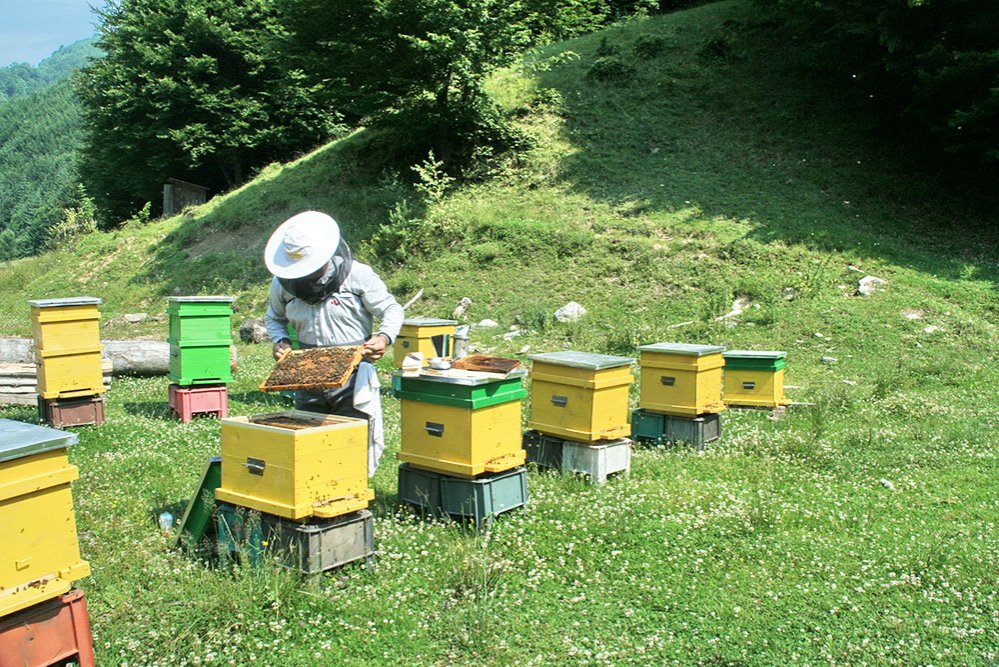 Programe de sprijin pentru tinerii antreprenori 80539