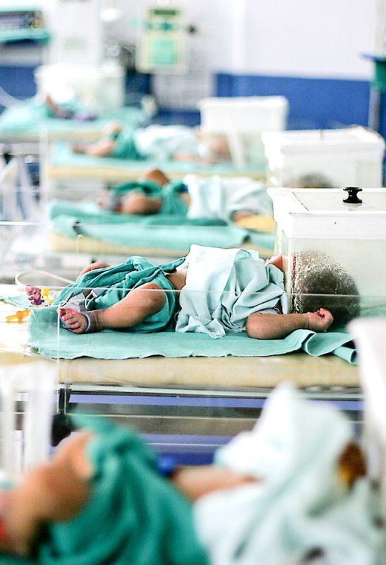 Când părinţii confundă dragostea cu crima 80421