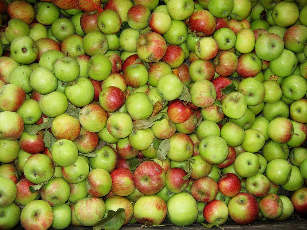 Tratamente şi diete naturiste în ateroscleroză 80385