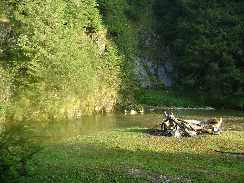 Rugăciunea naufragiaţilor 79845