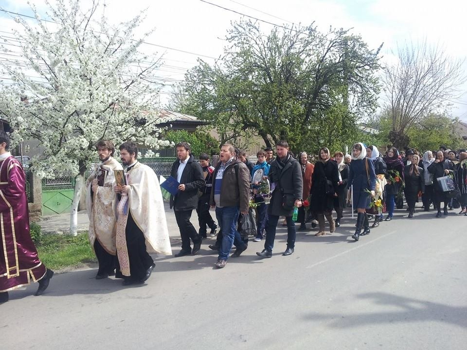 Ca pruncii, cu ramuri şi flori, pe străzile Jilavei 79716