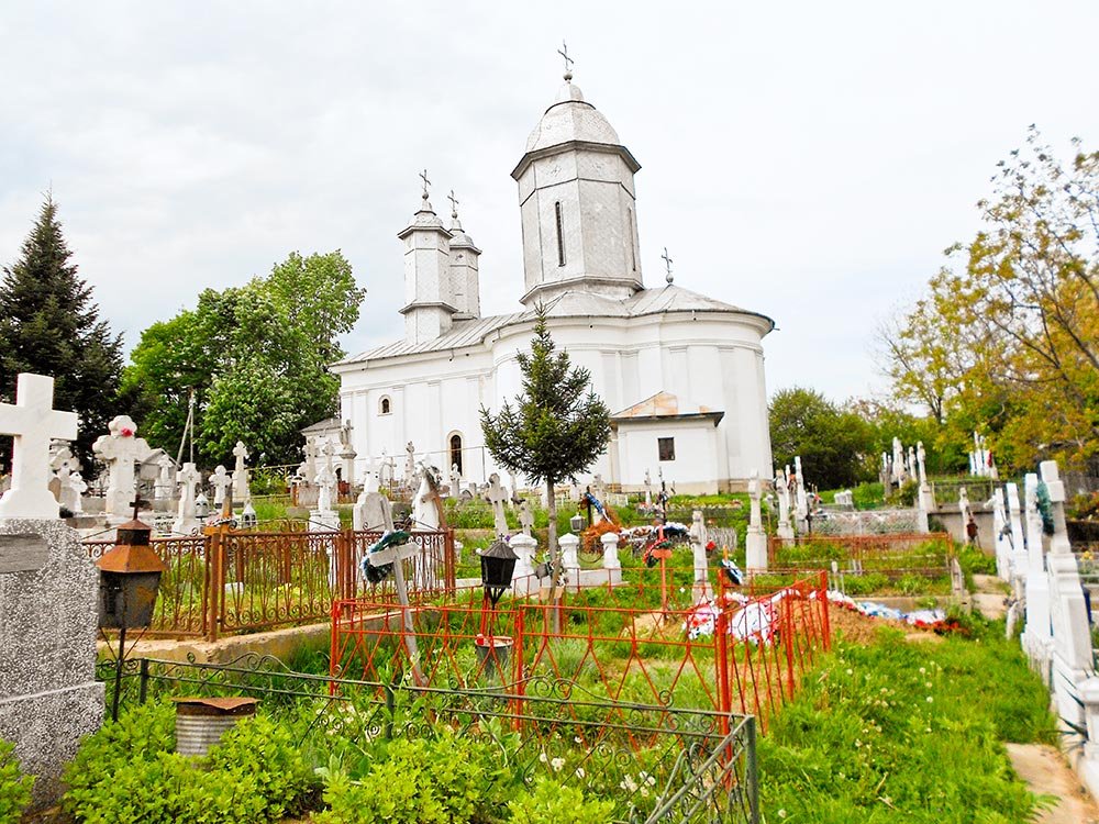 Pagini din viaţa zugravului bisericesc Ion Potlogea 79336